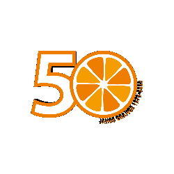 Orange Erlangen Sticker by vimo.studio