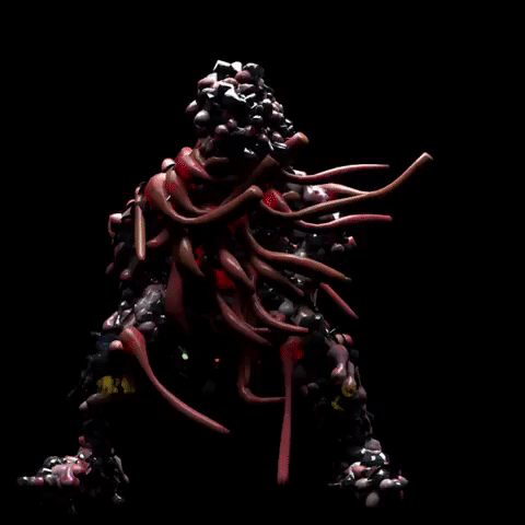 Pylik GIF
