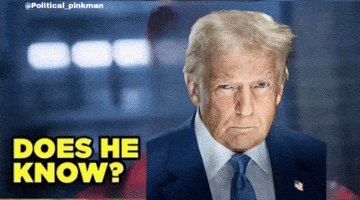 Donald Trump GIF