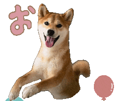 柴犬 Sticker