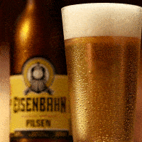 Beer Breja GIF by Eisenbahn