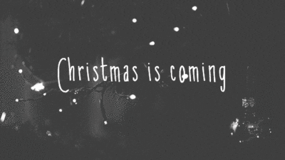 black and white christmas lights GIF