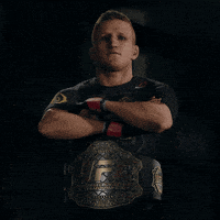 ufc 3 champion GIF by EA SPORTS UFC
