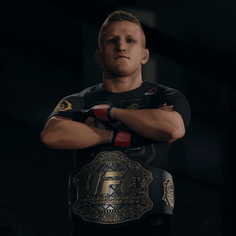 ufc 3 champion GIF by EA SPORTS UFC