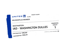 Washington Dc Fly Sticker by United Airlines
