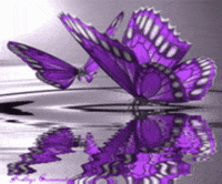 Best Fairy Gifs Primo Gif Latest Animated Gifs