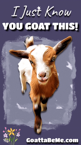 You Got This GIF by Goatta Be Me Goats! Adventures of Java, Toffee, Pumpkin and Cookie!