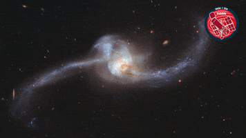 Universe Visuals GIF by ESA/Hubble Space Telescope