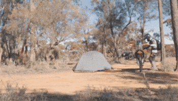 Moto GIF
