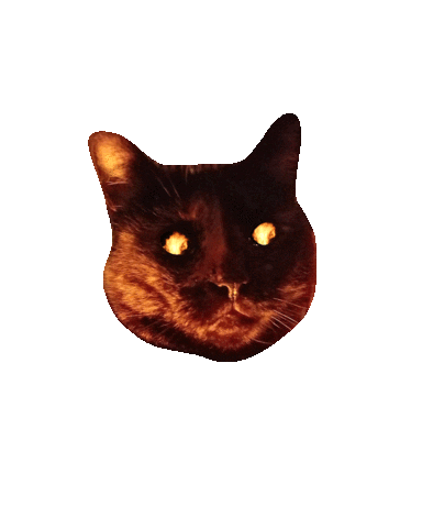 Cat Fire Sticker by Roundhouse