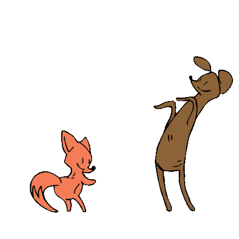 Animated Gif Animals Dancing