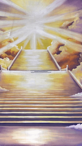 Online Weight Loss Coach GIF