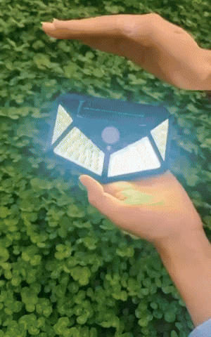 Animated GIF