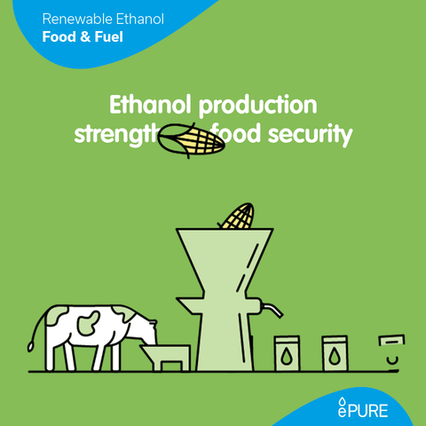 Renewable Energy GIF