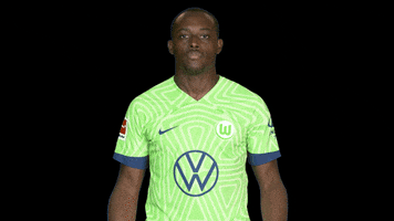 Lets Go Bundesliga GIF by VfL Wolfsburg