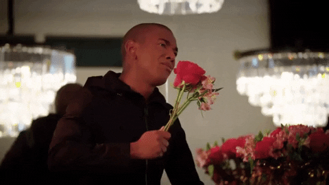 Hogy reagálsz ha bókolnak vagy hízelegnek neked