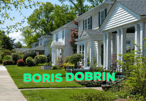 Boris Dobrin GIF