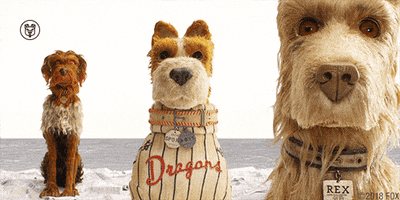 isle of dogs dog GIF by 20th Century Fox Home Entertainment