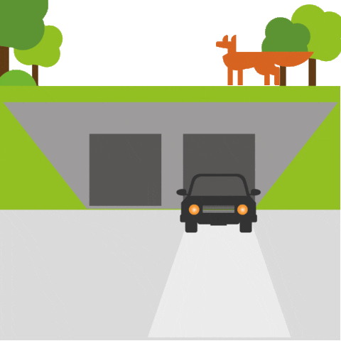 Fox Auto GIF by Wegen en Verkeer
