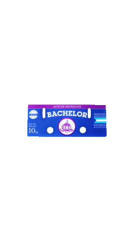 Bachelorsrl Sticker