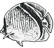 Sticker by Weston Table