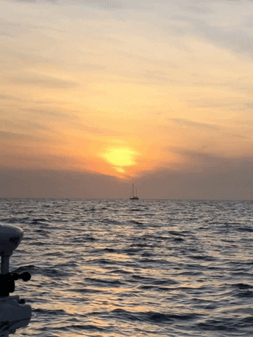 freerideequestrian sun vibes florida boat GIF