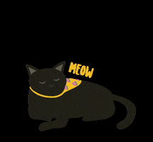 rallandesign cat meow mochi rallan GIF