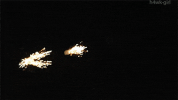 Fireworks Savethetrees GIF by Signable