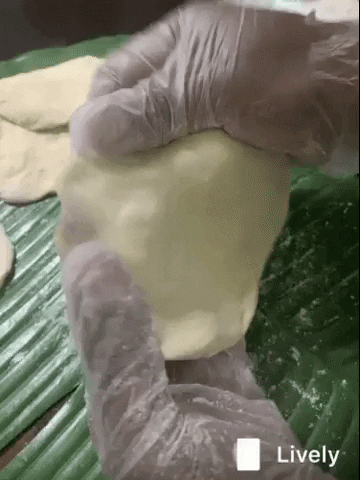 Panama GIF