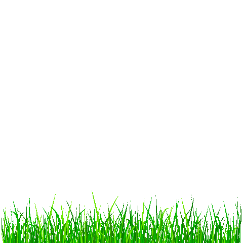 Urban Nest Realty Sticker