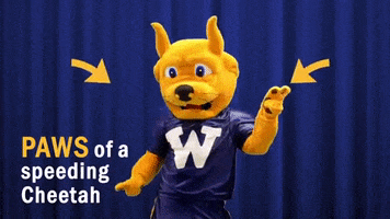 Mascot Gorlok GIF by Webster University