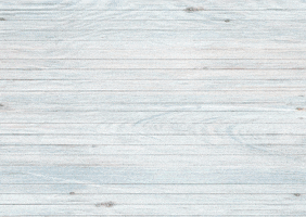 GIF by American Quarter Horse Assn