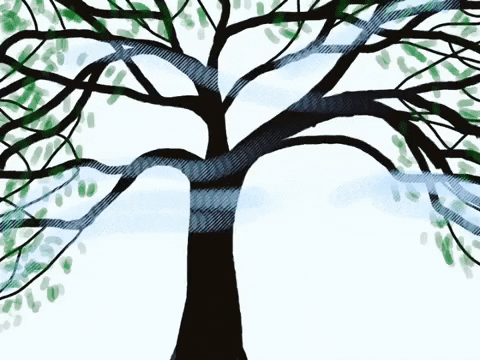 Trees-blowing-in-the-wind GIFs - Get the best GIF on GIPHY