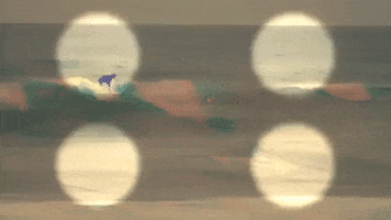 200.gif?cid=fc005b081b11063c21eb13c85412e388edbc7bbc0b757ff7&rid=200.gif&ct=g