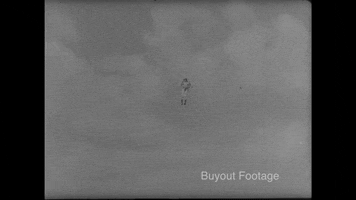 Flying Take Off GIF by Buyout Footage