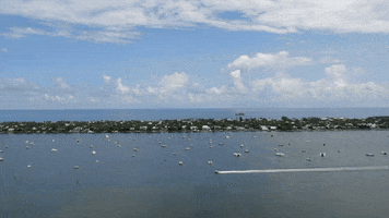 GIF by ONESIR Development Division