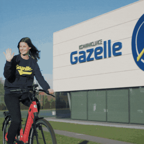 Koninklijke Gazelle GIF