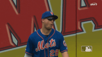 ny mets baseball GIF by New York Mets