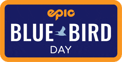 Blue Bird Ski GIF by Epic Pass