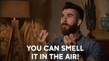 You Can Smell It In The Air GIFs - Get the best GIF on GIPHY