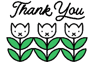 Cat Thank You Sticker
