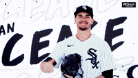 Dylan Cease GIF - Dylan Cease - Discover & Share GIFs
