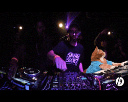 SavageSocietyRecords cat dj monsters dubstep GIF