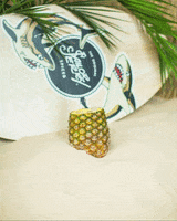 Happy Hour Beach GIF by Sailor Jerry Spiced Rum