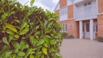 Renovation GIF