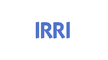 Logo Sliding Sticker by IRRISketch