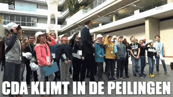 cdja GIF