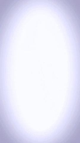 Mr Riegillio GIF
