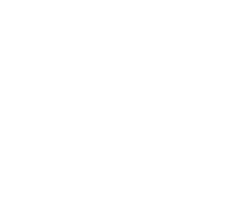 Reform Training Sticker