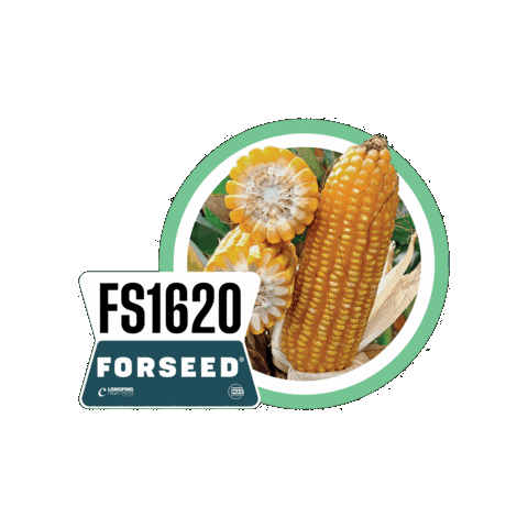 Forseedsementes Sticker by Longping High Tech